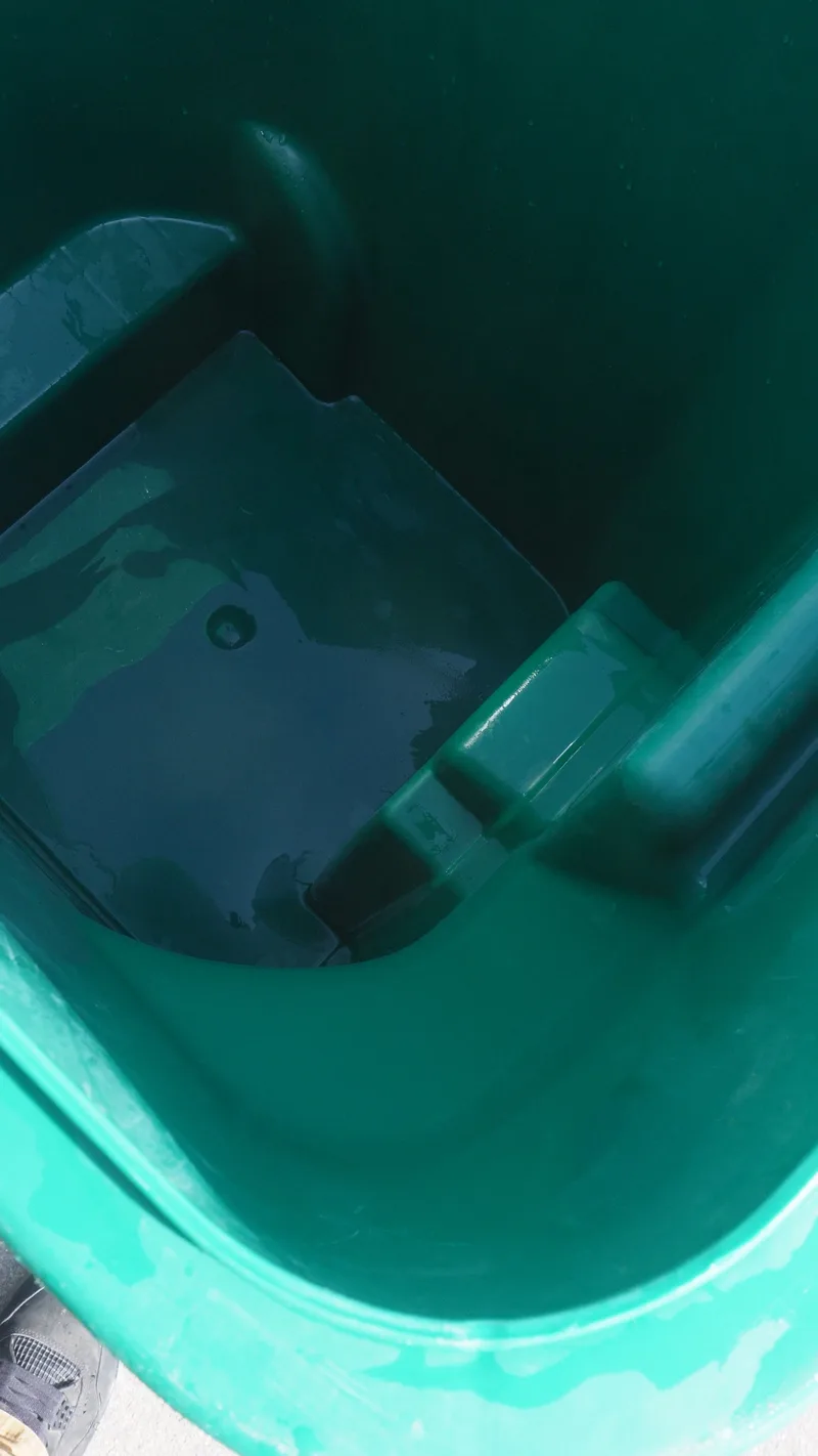 Clean bin interior after professional cleaning