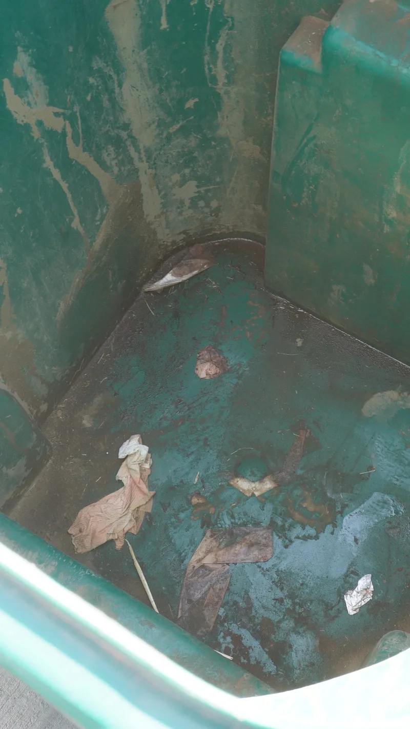 Dirty bin interior before professional cleaning